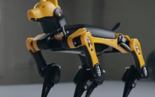 Yeni Evcil Hayvanımla Tanışın - Biyonik Köpek Robotu